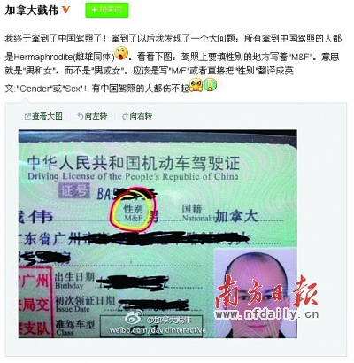 中国驾照“性别”翻译有问题