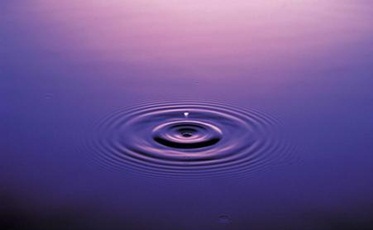 跳水赛乌克兰选手为俄当翻译:友谊只关乎体育-『译网』